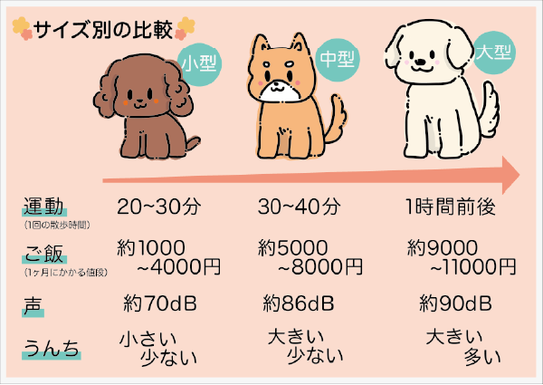 犬の大きさ比較