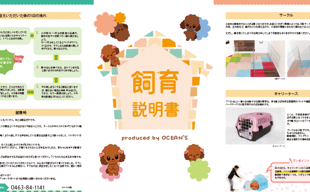 トイプードルの飼育説明書