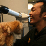 子犬と笑うトイプードルブリーダー直送センター店長