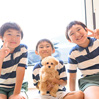 千葉県のNさま、ご家族の皆様よりマッシュくんお迎えのお手紙をいただきました!